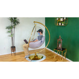 ray Bubble Chair Acrylic Swing with Stand